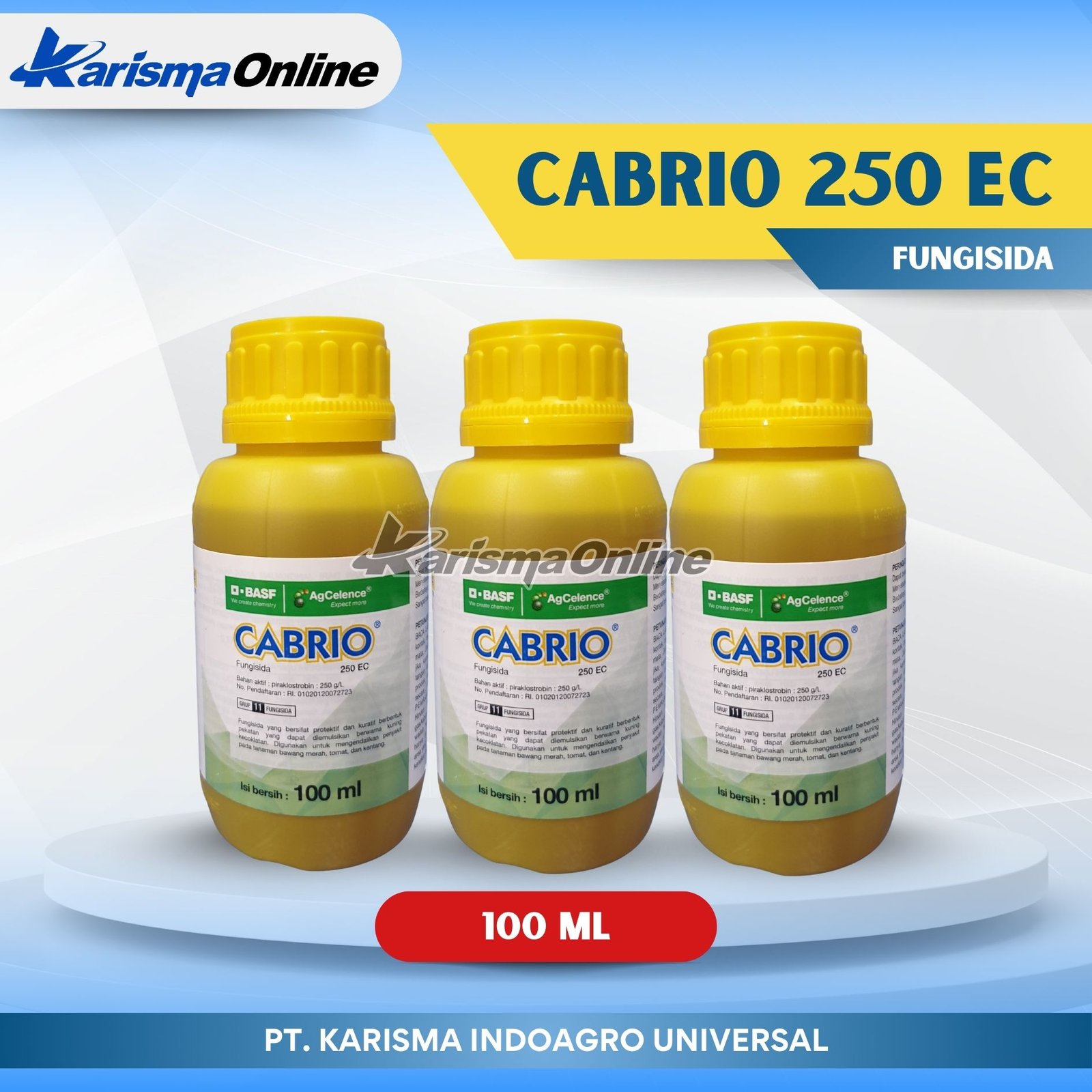 Cabrio 250 EC 48 X 100 ml