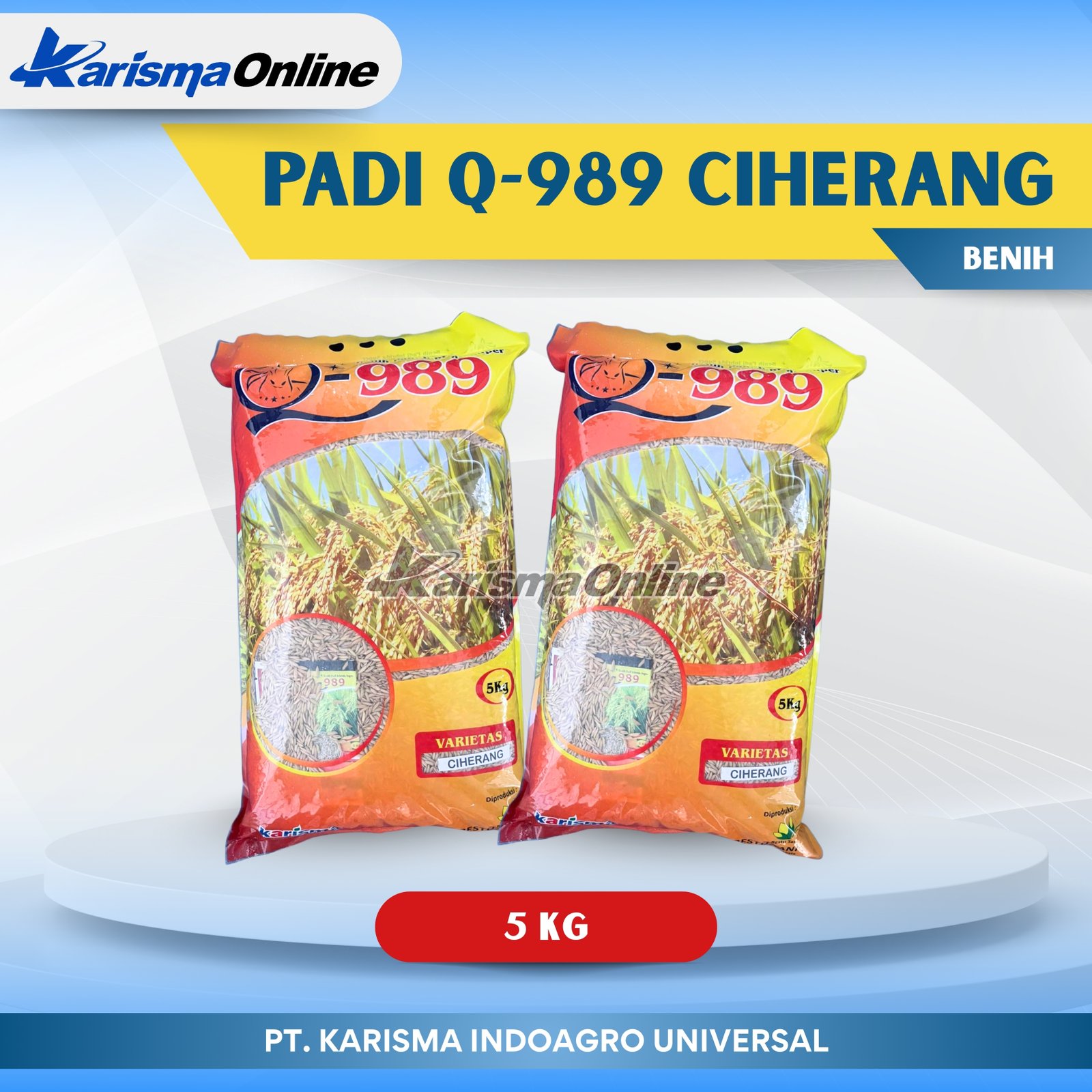 Padi Q-989 Ciherang 4 X 5 kg