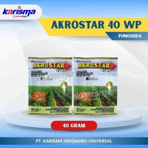Akrostar 40 WP 60 X 40 gr
