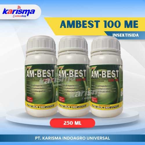 Ambest 100 ME 40 X 250 ml