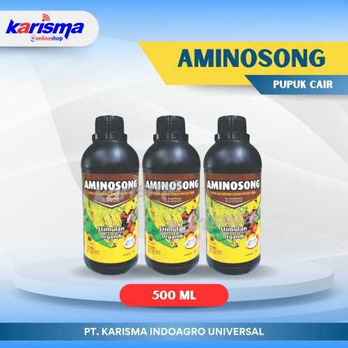 Aminosong 20 X 500 ml
