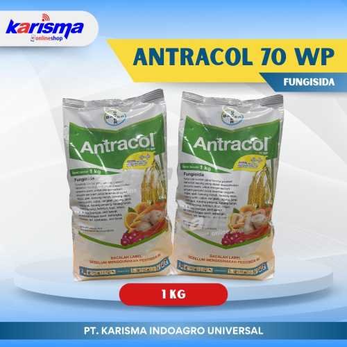 Antracol 70 WP 12 X 1 kg