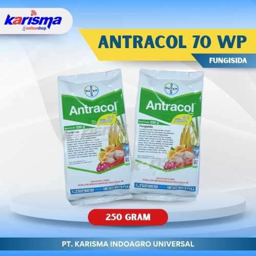 Antracol 70 WP 40 X 250 gr