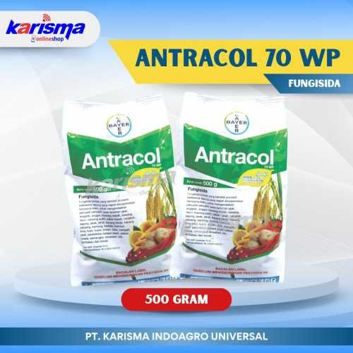 Antracol 70 WP 20 X 500 gr