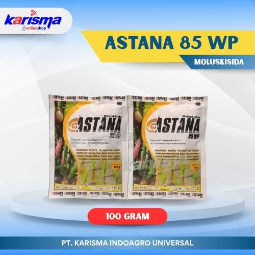 Astana 85 WP 50 X 100 gr*