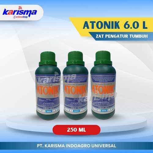 Atonik 6.0 L 30 X 250 ml
