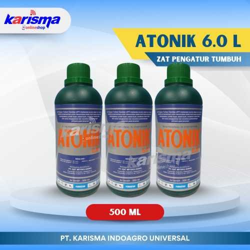 Atonik 6.0 L 15 X 500 ml