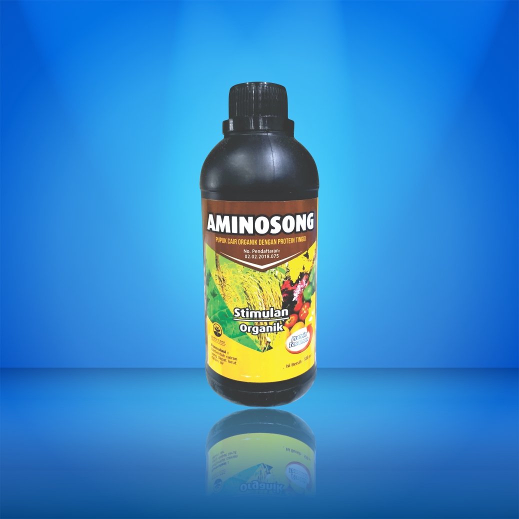 Aminosong 20 X 500 ml