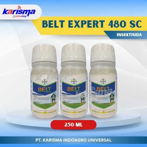 Belt Expert 480 SC 40 X 250 ml