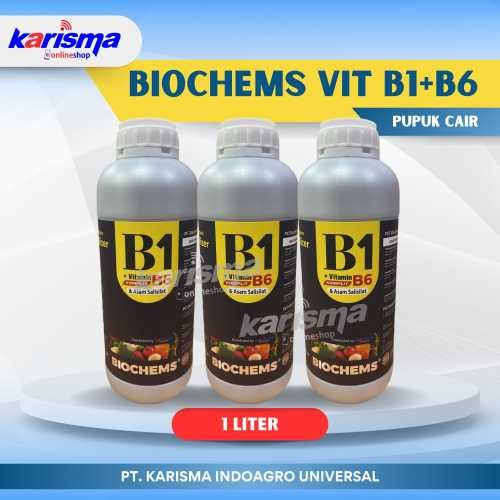 Biochems Vit B1+B6 20 X 1 ltr