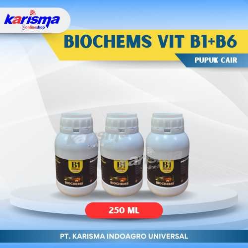 Biochems Vit B1+B6 40 X 250 ml