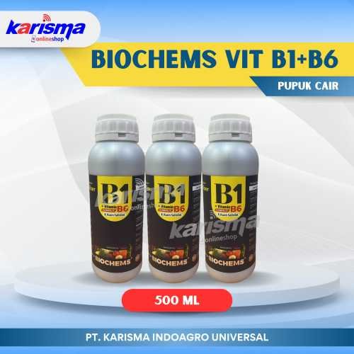 Biochems Vit B1+B6 30 X 500 ml