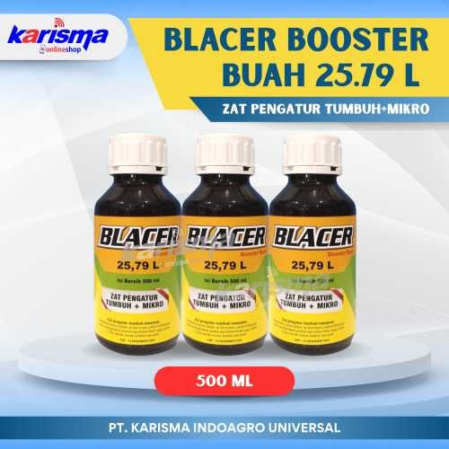 Blacer Booster Buah 25.79 L 24 X 500 ml