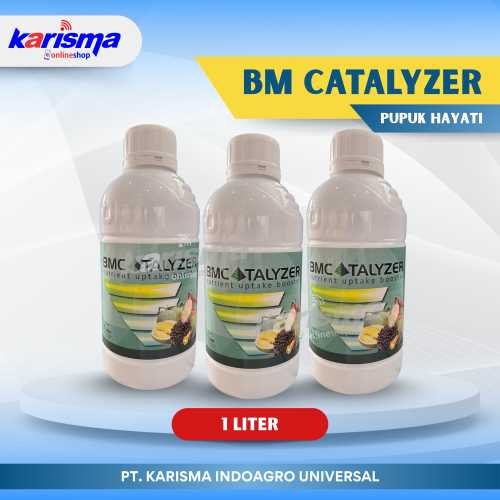BM Catalyzer 2.5 10 X 1 ltr