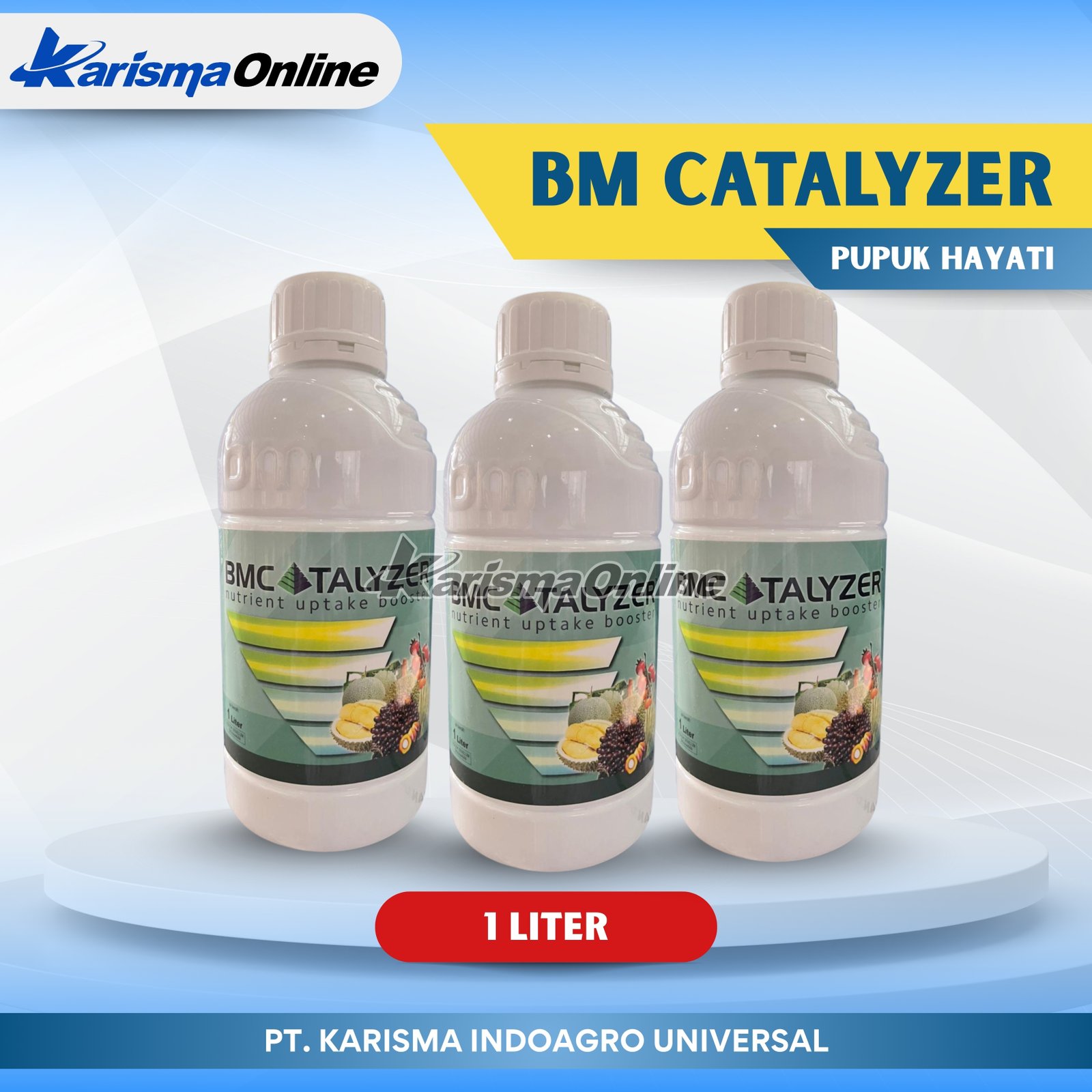 BM Catalyzer 2.5 10 X 1 ltr