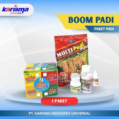 Boom Padi 30 X 1 Paket