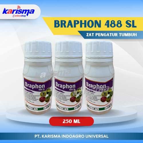 Braphon 488 SL 40 X 250 ml