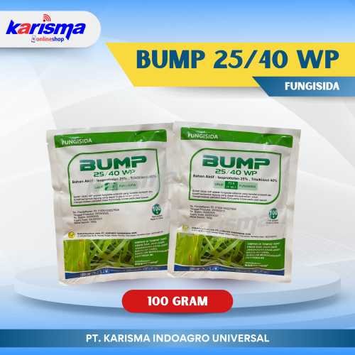 Bump 25/40 WP 100 X 100 gr