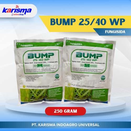 Bump 25/40 WP 40 X 250 gr