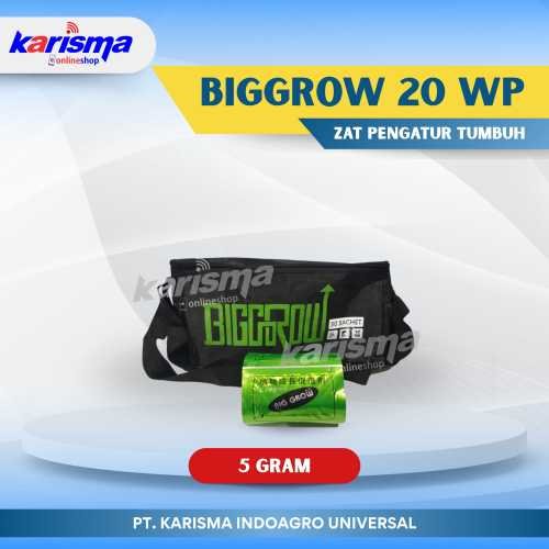 Biggrow 20 WP 6 X 50 X 5 gr