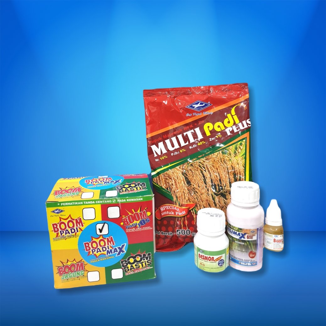 Boom Padi 30 X 1 Paket