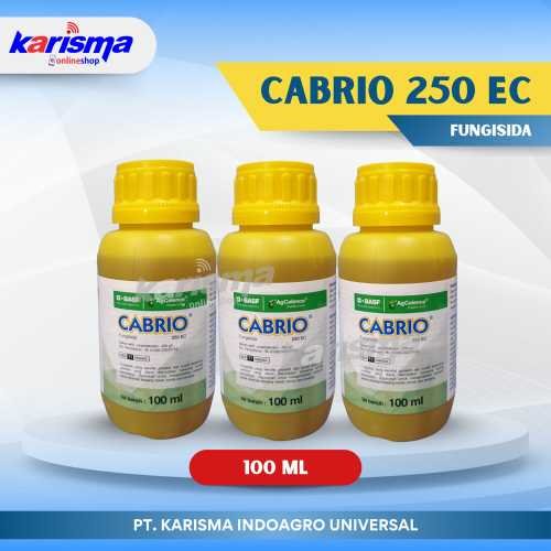 Cabrio 250 EC 48 X 100 ml