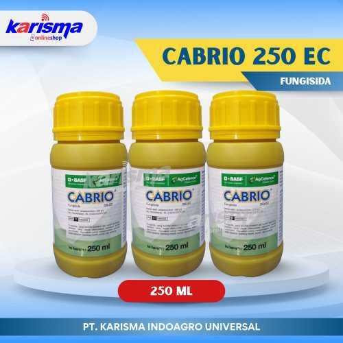 Cabrio 250 EC 24 X 250 ml