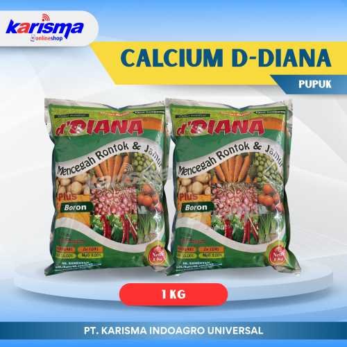 Calcium D-Diana 20 X 1 kg