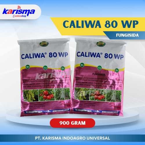 Caliwa 80 WP 10 X 900 gr