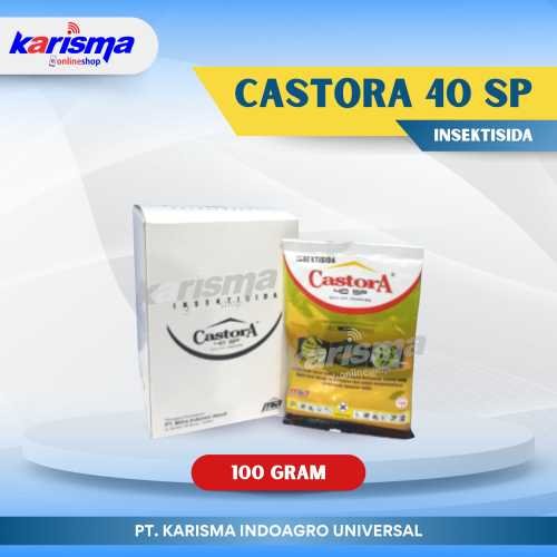 Castora 40 SP 10 X 10 X 100 gr