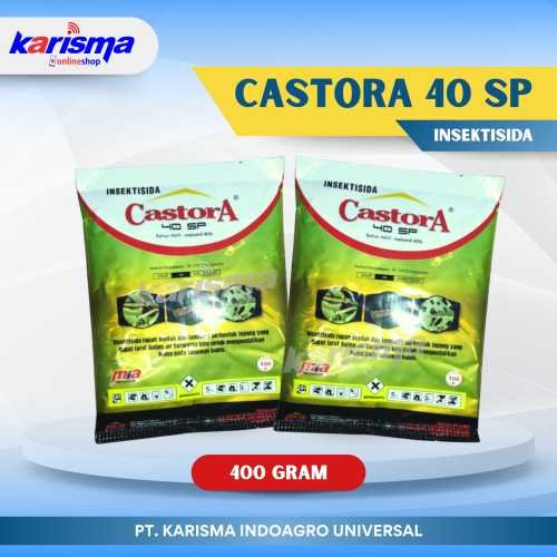 Castora 40 SP 24 X 400 gr
