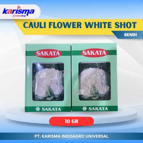 Cauli Flower White Shot 25 X 10 X 10 gr