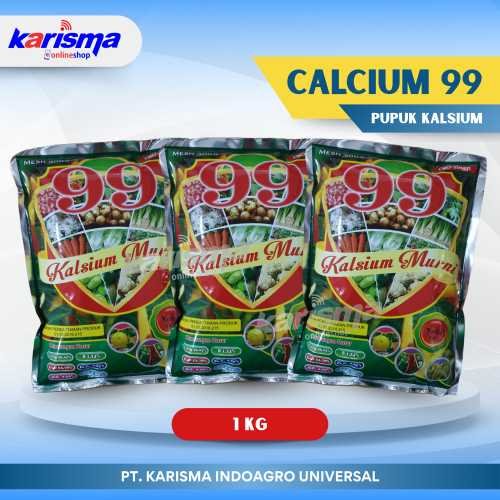 Calcium 99 20 X 1 kg