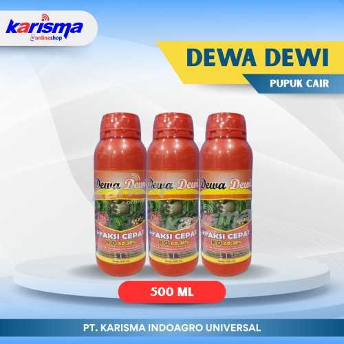 Dewa Dewi 20 X 500 ml