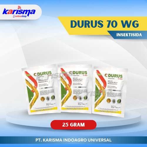 Durus 70 WG 8 X 10 X 25 gr + 5 gr