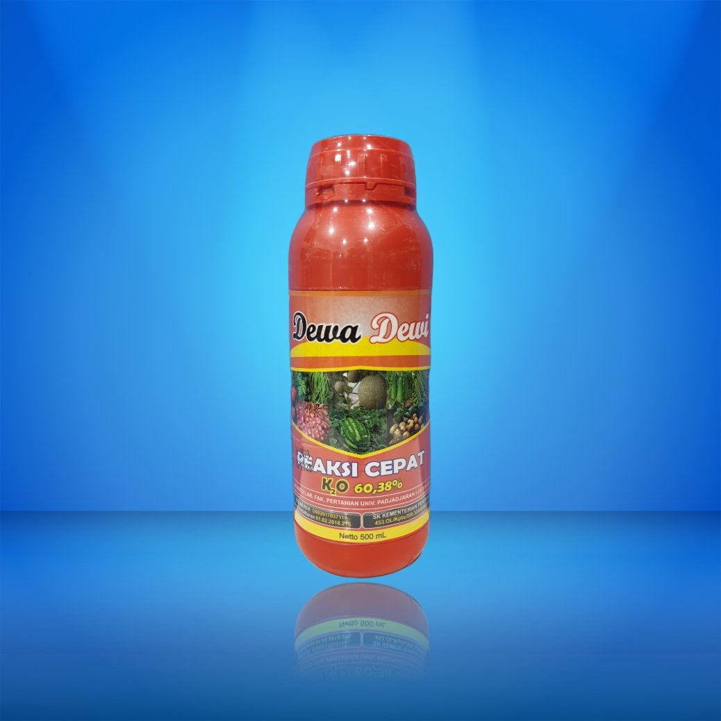 Dewa Dewi 20 X 500 ml