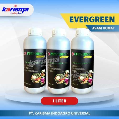 Ever Green Asam Humat 20 X 1 ltr