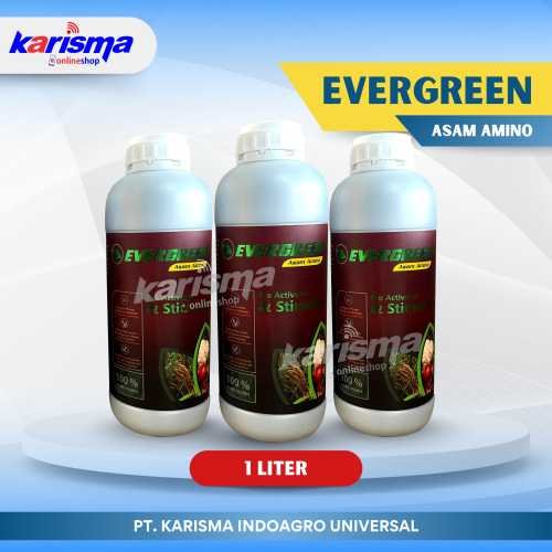 Ever Green Asam Amino 20 X 1 ltr
