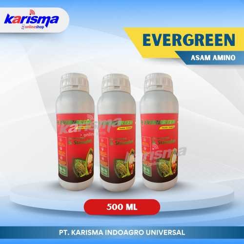 Ever Green Asam Amino 30 X 500 ml