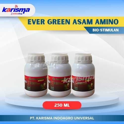 Ever Green Asam Amino 40 X 250 ml