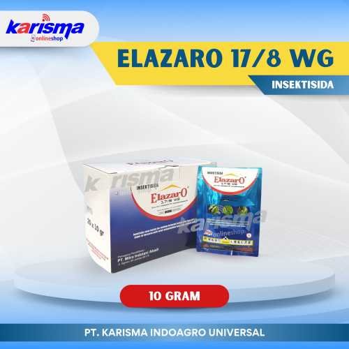 Elazaro 17/8 WG 10 X 20 X 10 gr