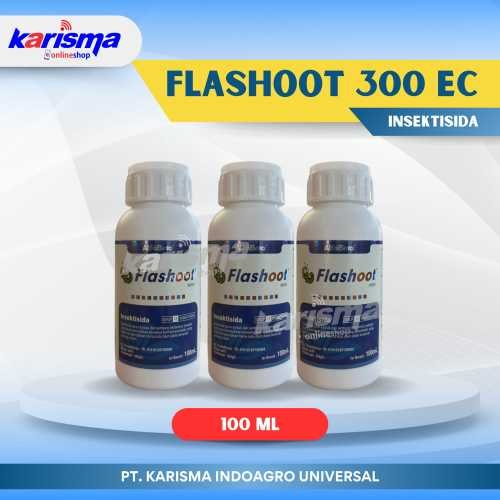 Flashoot 300 EC 80 X 100 ml