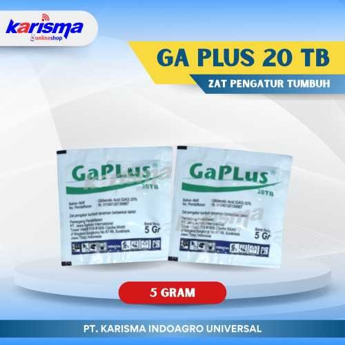 Ga Plus 20TB 35 X 10 X 5 gr