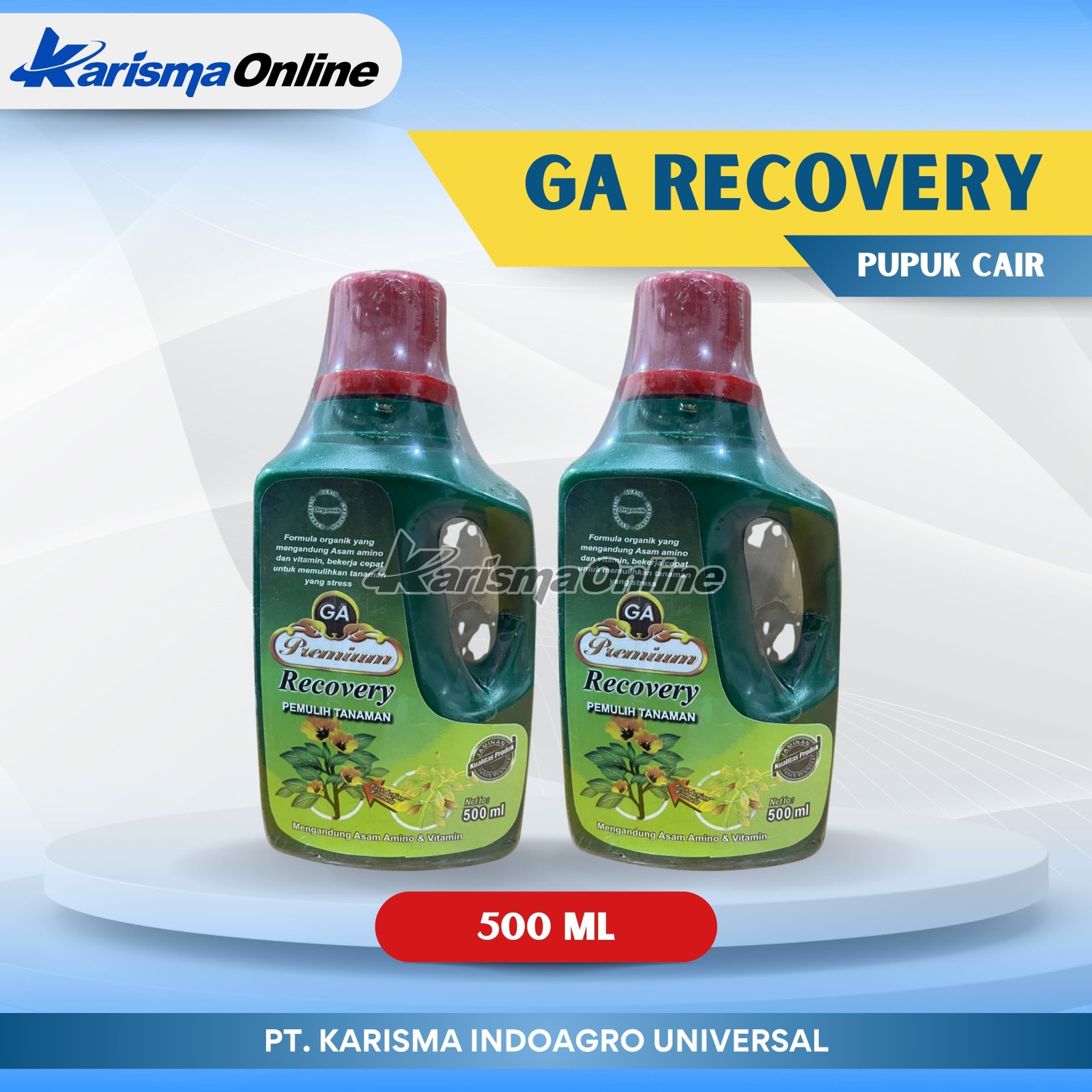 GA Recovery 20 X 500 ml