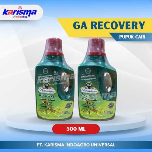 GA Recovery 20 X 500 ml