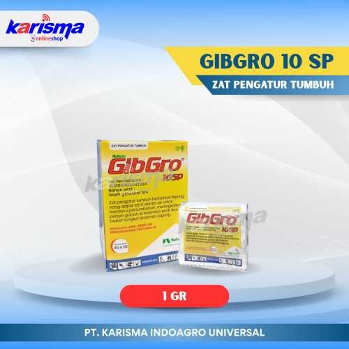 Gibgro 10 SP 25 X 40 X 1 gr
