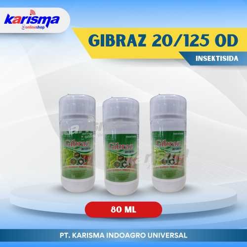 Gibraz 20/125 OD 100 X 80 ml