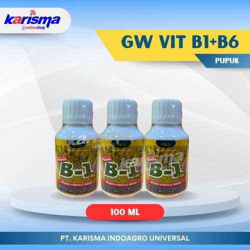 GW Vit B1+B6 100 X 100 ml