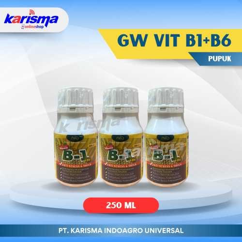 GW Vit B1+B6 50 X 250 ml