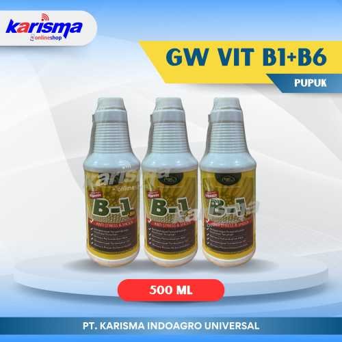 GW Vit B1+B6 24 X 500 ml